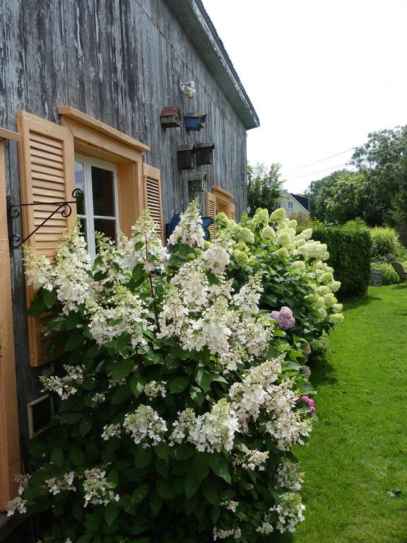 Gîte du Village - Deschambault Exterior foto